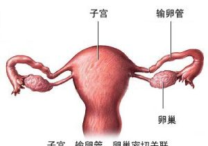 子宮肌瘤多大必須做掉?深圳怡康醫院有話說!